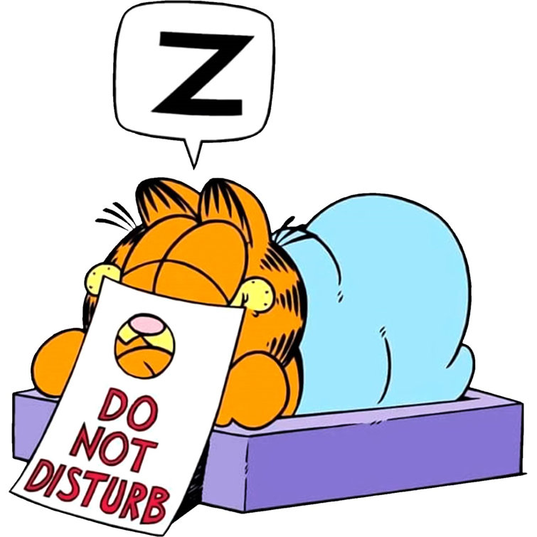 Design With Vinyl Garfield Do Not Disturb Sign Cartoon Vinyl Wall Decal
